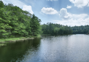 Screenshot 2025-05-28 at 3.15.03 AM